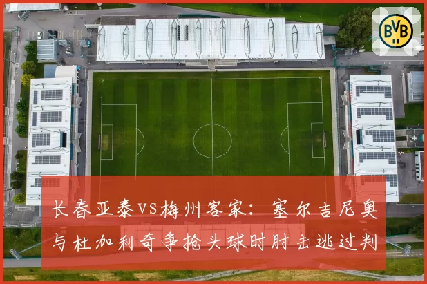 长春亚泰vs梅州客家:塞尔吉尼奥与杜加利奇争抢头球时肘击逃过判罚
