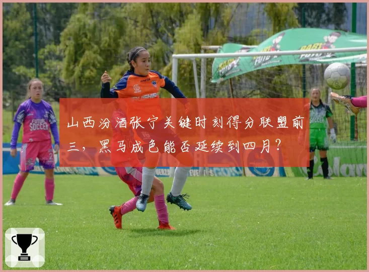 山西汾酒张宁关键时刻得分联盟前三，黑马成色能否延续到四月？