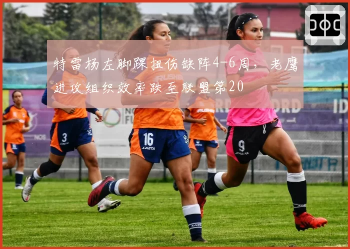 特雷杨左脚踝扭伤缺阵4-6周,老鹰进攻组织效率跌至联盟第20